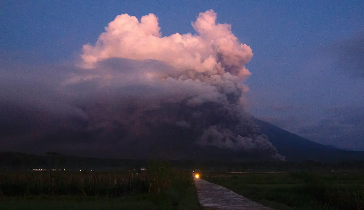 Gunung Semeru memuntahkan asap dan abu, Lumajang, Jawa Timur, Indonesia, Minggu (4/12/2022). Kepala PVMBG Hendra Gunawan meminta agar tidak ada aktivitas dalam radius delapan kilometer dari puncak dan sektoral arah tenggara (Besuk Kobokan dan Kali Lanang) sejauh 19 kilometer dari puncak. (Agus Harianto/AFP)