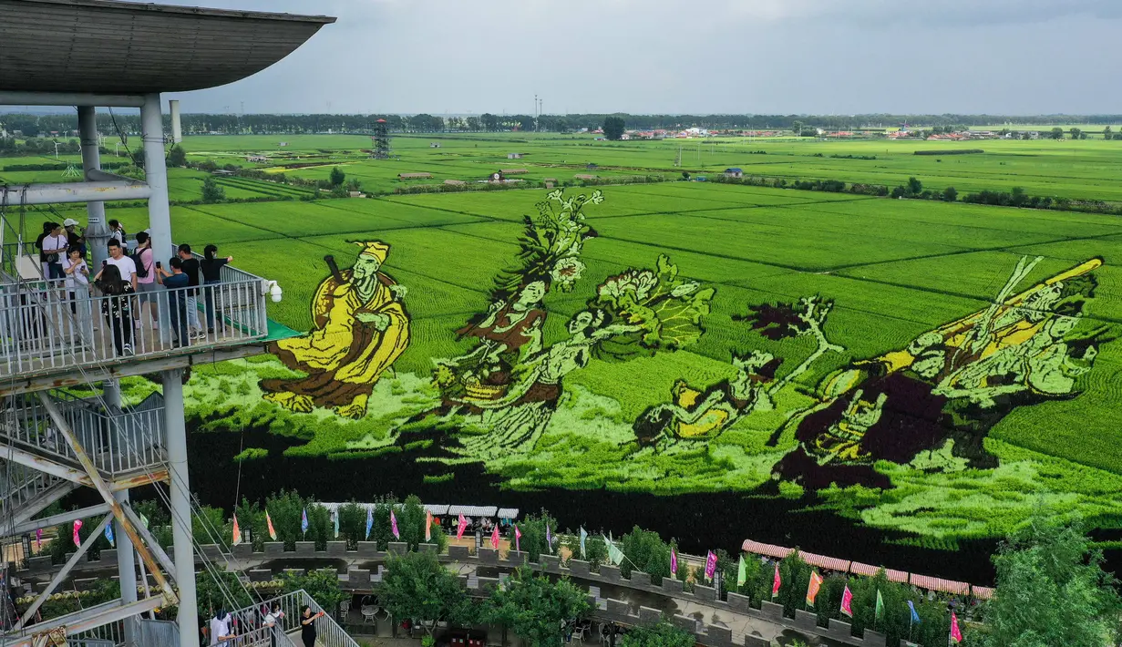 Para turis mengunjungi sawah dengan gambar yang dibuat dari berbagai varietas padi di Shenyang, Provinsi Liaoning, China, 17 Agustus 2021. (STR/AFP)