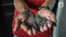 Warga menunjukkan debu batu bara yang mencemari Rusunawa Marunda, Jakarta Utara, Rabu (9/3/2022). Pencemaran debu batu bara mengakibatkan sejumlah penghuni mengalami sesak nafas, gatal-gatal. (merdeka.com/Iqbal S. Nugroho)