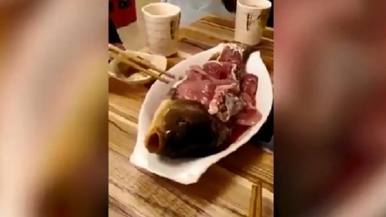 Pada rekaman terlihat seekor ikan yang telah diiris-iris dagingnya. Tetapi mulut ikan itu terlihat bergerak-gerak, mengatup dan membuka (Live Leak)