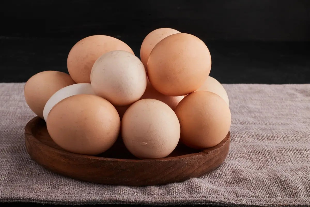 Egg