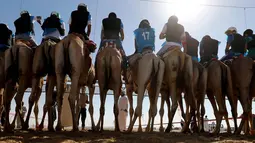 Sejumlah joki bersiap di garis start saat mengikuti lomba balap unta di festival unta Sheikh Sultan Bin Zayed al-Nahyan di arena pacuan shweihan di al-Ain di pinggiran Abu Dhabi (2/2). (AFP Photo/Karim Sahib)