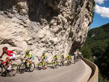 Para pebalap beraksi di Etape 2 (Cluses - Saint-Vulbas) lomba balap sepeda Dauphine Criterium, (6/6/2016). (AFP/Lionel Bonaventure)