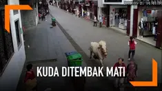 Seekor kuda yang digunakan untuk upacara pernikahan berlari di sepanjang jalan Kota Huangshan, China dan melukai tiga orang. Kuda akhirnya ditembak mati oleh polisi dan pemilik kuda ditangkap.