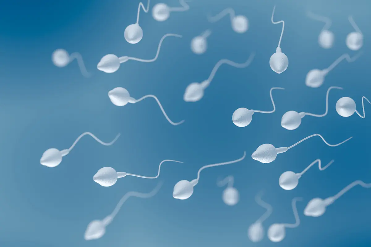 Pria dengan Jumlah Sperma Sedikit Rentan Kena Penyakit? (Vchal/Shutterstock)