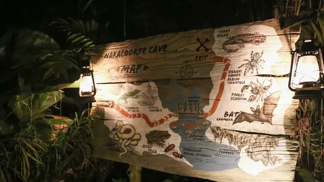 Singapore Night Safari