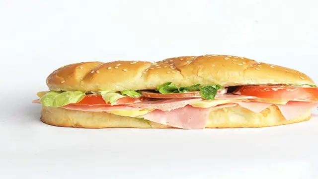 Ilustrasi sandwich kalkun
