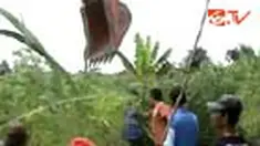 liputan6