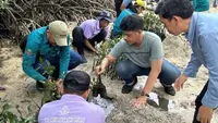 50 Ekor Tukik Dilepas dan Penanaman 500 Bibit Mangrove di Pulau Sabira