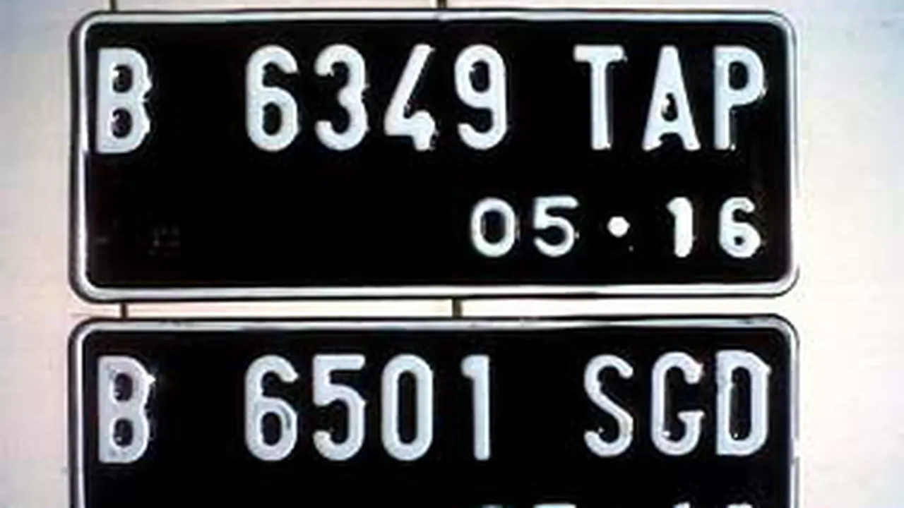 110516aplat.jpg