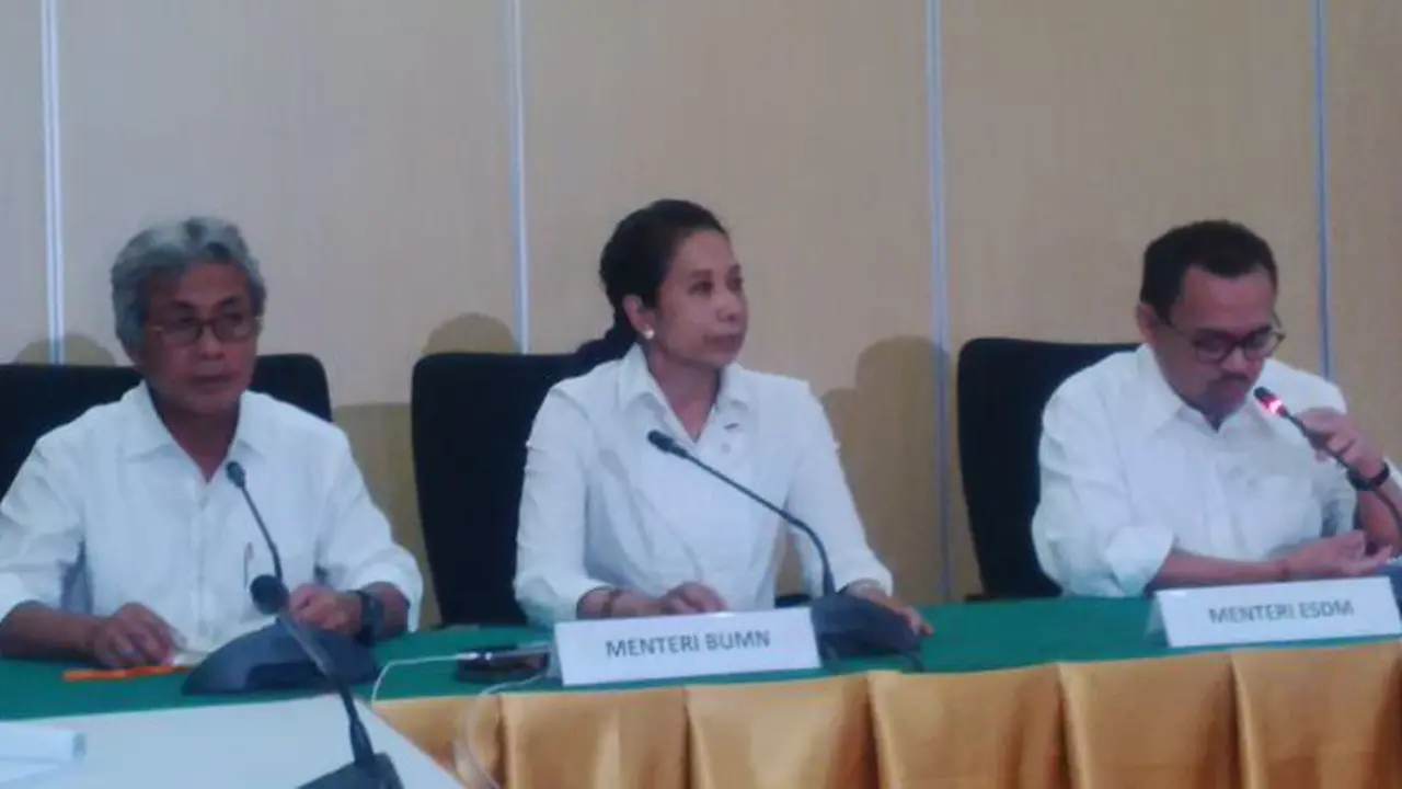 Dwi Soetjipto, Rini Soemarno dan Sudirman Said