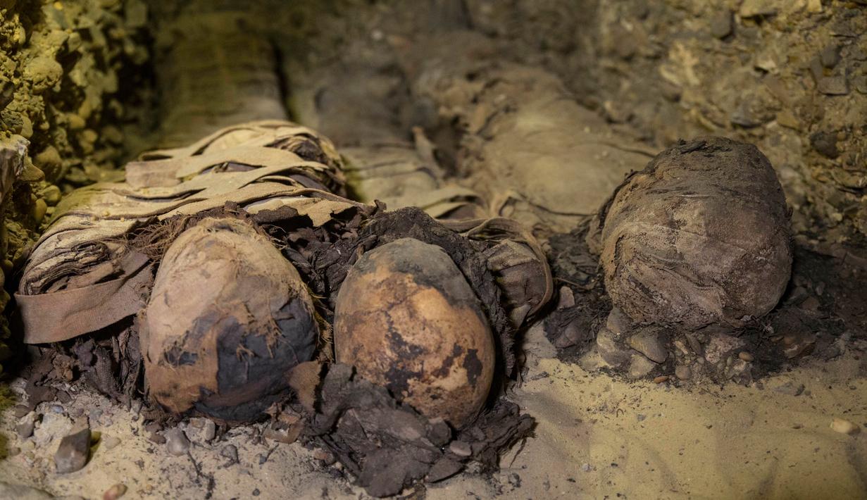 Mumi terbungkus kain linen ditemukan di ruang pemakaman di Provinsi Minya, Mesir, Sabtu (2/2). Situs ini ditemukan dalam sebuah ekskavasi pada Februari tahun lalu. (AP Photo/Roger Anis)