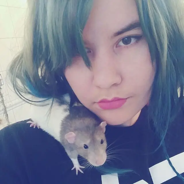 5 Potret Lucu Darius, Tikus Kecil yang Jago Melukis