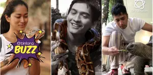 Mungkin kita sudah biasa melihat selebritis Indonesia memelihara kucing, anjing, atau burung.