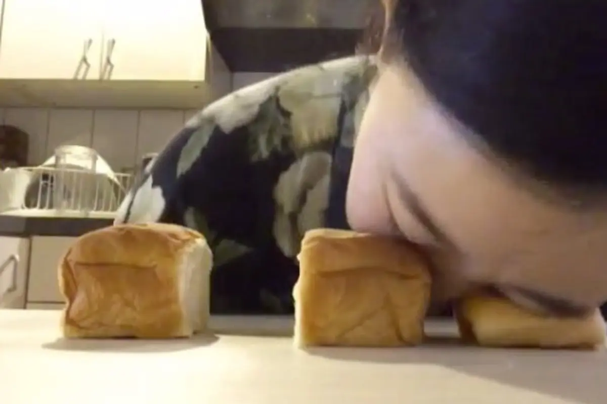 Wanita Misterius yang Hobi Gosok Wajahnya dengan Roti