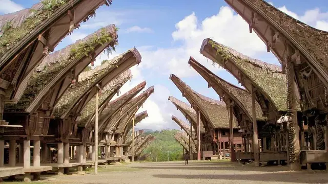 [Bintang] Toraja