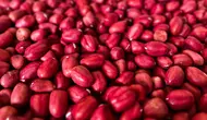Kacang-kacangan juga bisa menjadi bahan untuk menu makan siang praktis yang sehat (Foto: Unsplash.com/ Ashton Huang)