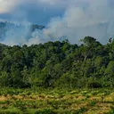 Aceh Terima Hibah Rp 27 M untuk Menjaga Hutan