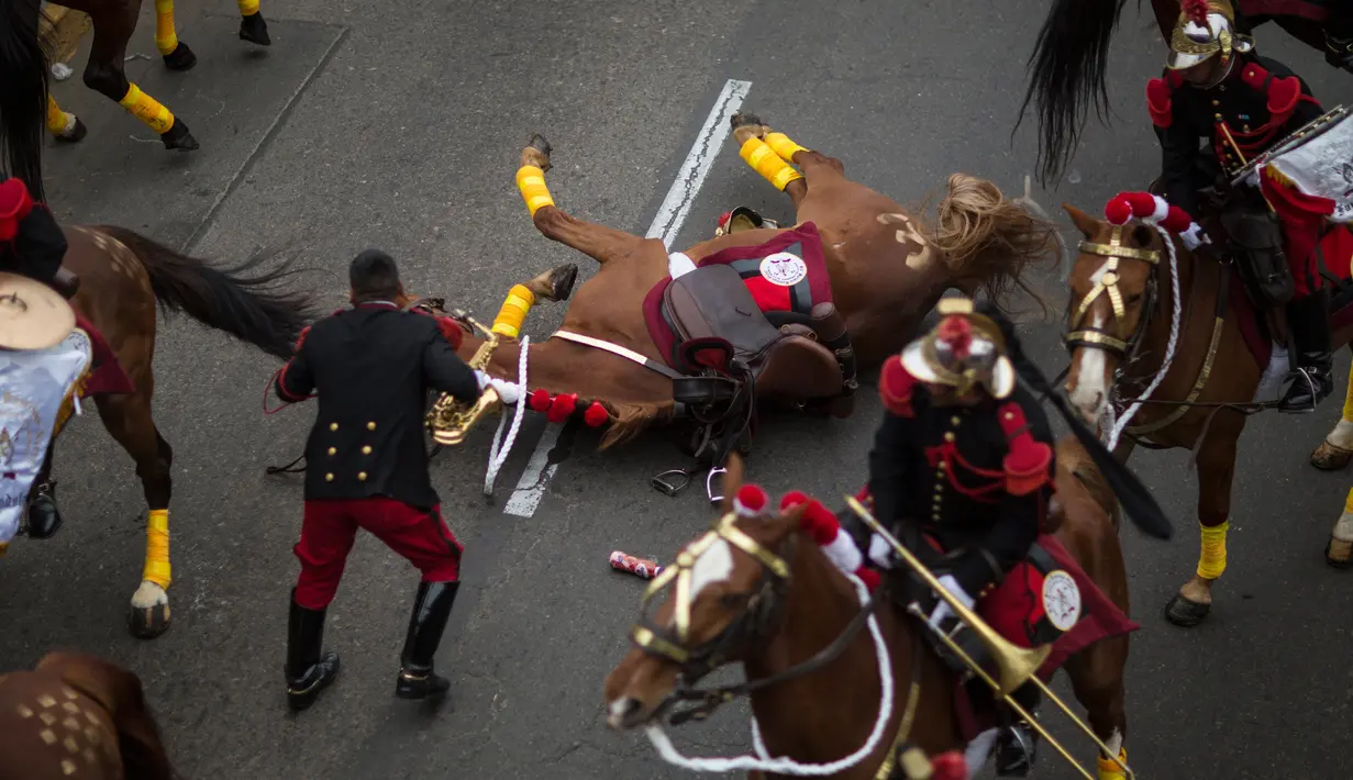 Seekor kuda yang ditunggangi anggota resimen kavaleri tradisional atau yang dikenal Husares de Junin terjatuh saat mengikuti parade militer perayaan Hari Kemerdekaan Peru di Lima, Peru (29/7). (AP Photo / Rodrigo Abd)