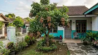 Kelengkeng Berbuah tapi Rasanya Kurang Manis? Ini Cara Merawat Pohon agar Hasilnya Lebih Baik