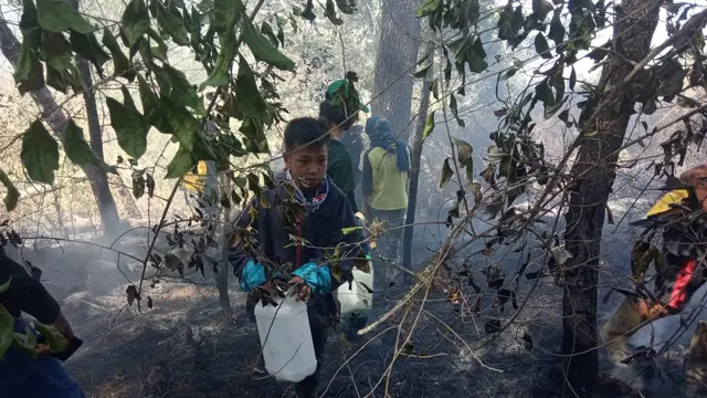 Kebakaran di Gunung Bawakaraeng
