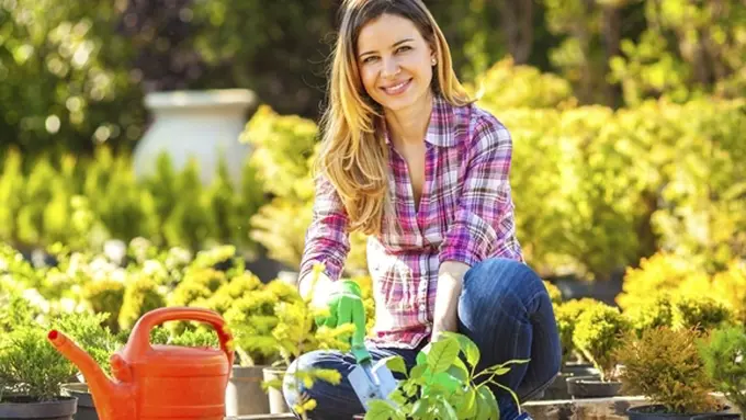 Photo: Copyright Thinkstockphotos.com