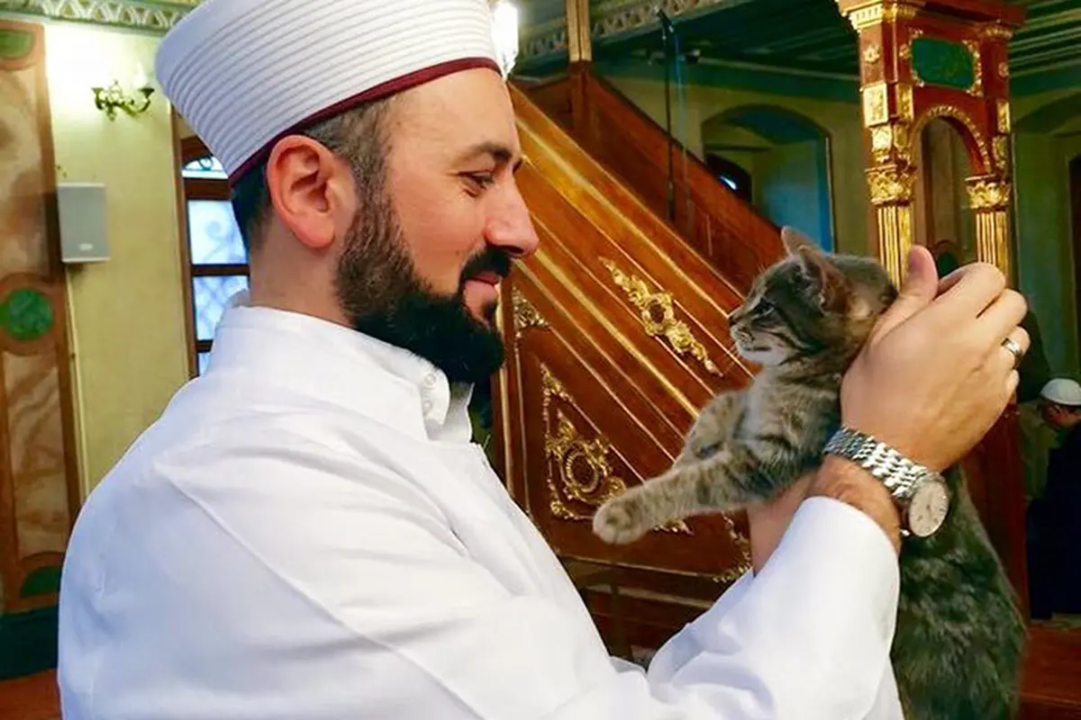Di Masjid Ini, Kamu Bisa Ibadah Bareng Kucing-kucing Liar!