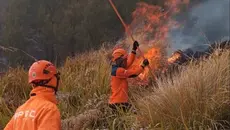 Korban Meninggal Karhutla Bromo Bertambah Jadi 6 Orang