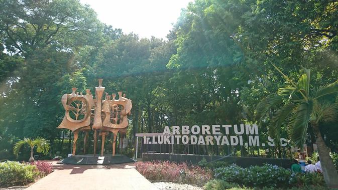 Arboretum Lukito Daryadi yang menjadi lokasi Arborea Cafe. (Liputan6.com/Dinny Mutiah)
