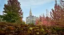 Gambar 18 Oktober 2018 menunjukkan daun-daun jatuh ke tanah saat musim gugur di depan gereja Sainte-Bernadette, Orvault, Prancis. Musim gugur ditandai dengan perubahan warna daun serta bergugurannya daun-daun dari pohonnya. (LOIC VENANCE/AFP)