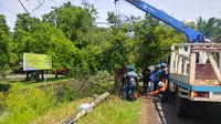 Tujuh Tiang Listrik Kompak Roboh dan Timpa Pengendara, Ini Penyebabnya