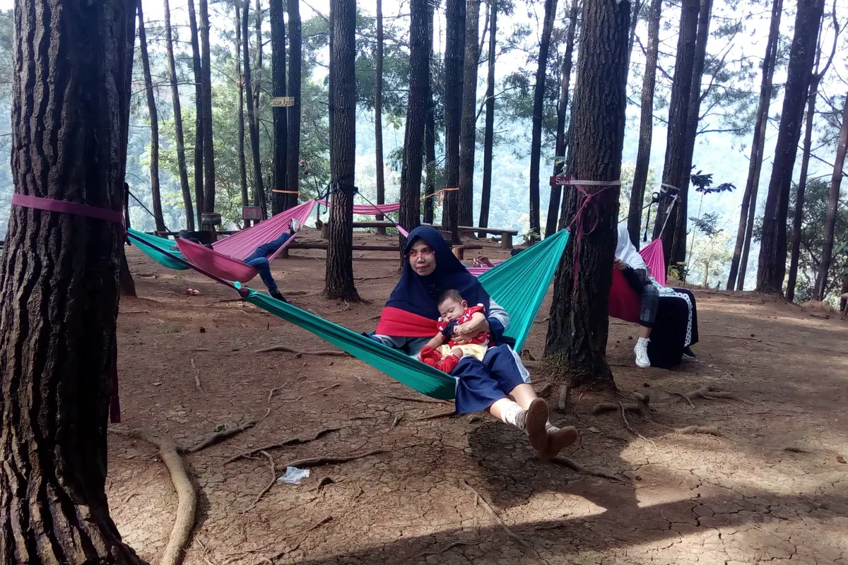 Para pengunjung tengah menikmati ayunan di atas fasilitas ayunan yang tergantung di dantara pepohonan pinus hutan Oko, Selaawi Garut
