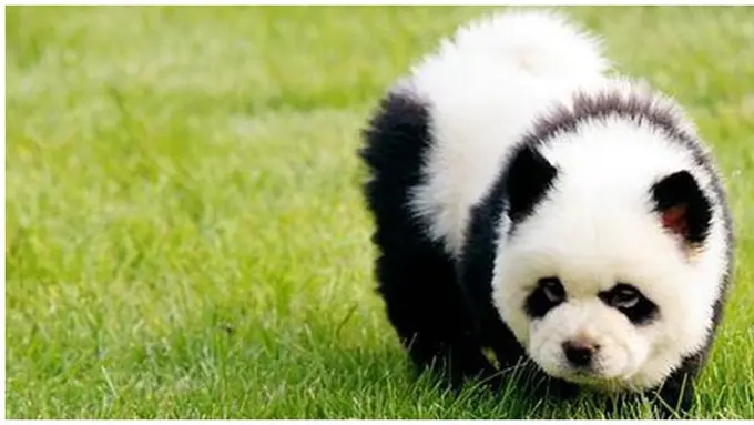 Foto: copyright metro.co.uk