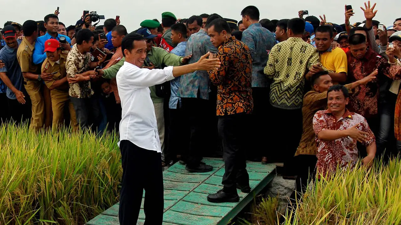Jokowi Jajal Mesin Pemanen Padi