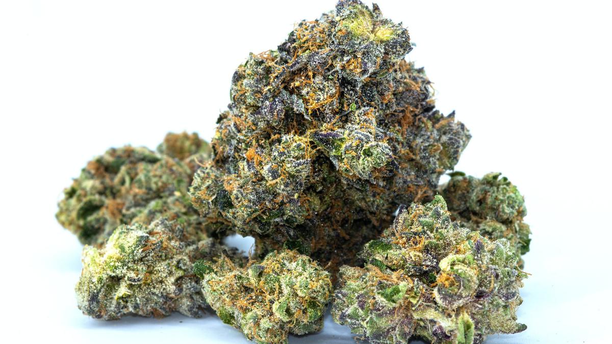 Polisi Bongkar Peredaran 9,4 Kg Ganja di Cawang Jaktim, Tiga Tersangka Ditangkap