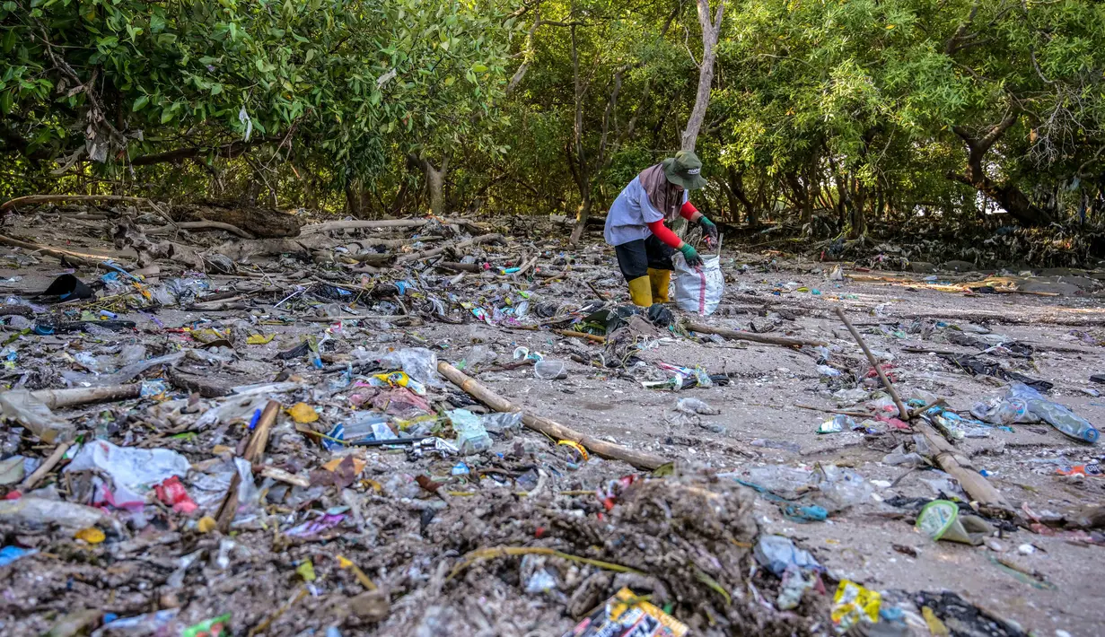 Seorang relawan dari Ecological Observation and Wetlands Conservation (ECOTON) mengumpulkan sampah plastik dari rawa bakau di Surabaya, Jawa Timur pada 26 Juli 2025. (Juni KRISWANTO/AFP)