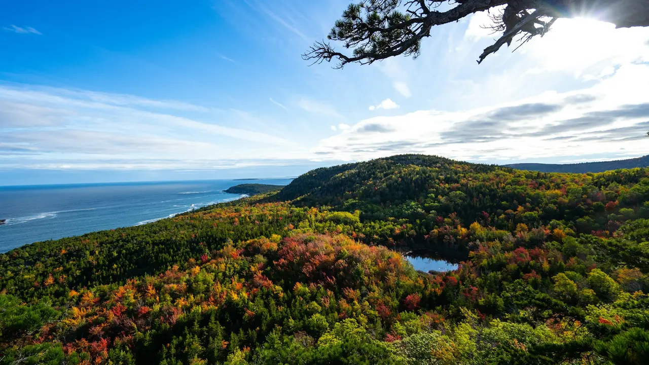Acadia