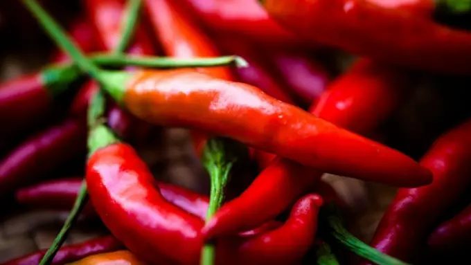 Foto: Copyright ThinkStockPhotos.com