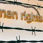 Ilustrasi Hak Asasi Manusia (HAM). (Gambar oleh kalhh dari Pixabay)