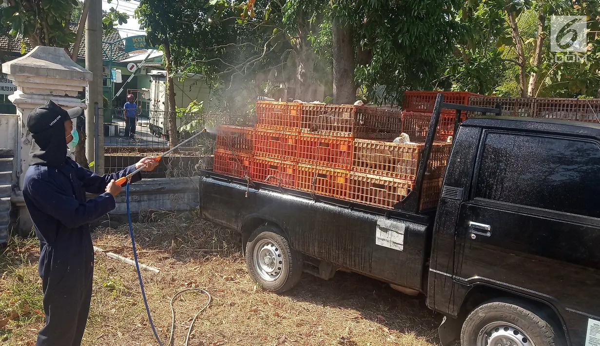 Petugas menyemprotkan disinfektan ke mobil pengangkut ayam di Dinas Pertanian Kota Semarang Jalan Slamet Riyadi, Rabu (26/6/2019). Sebanyak 11.000 ekor ayam hidup akan dibagikan gratis pada masyarakat Semarang sebagai bentuk protes menyusul anjloknya harga broiler di pasaran. (Liputan6.com/Gholib)