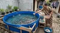 13 Ternak Rumahan Modal Receh untuk IRT yang Bisa Mengurangi Uang Belanja Harian