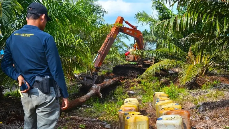 Alat berat yang digunakan pelaku perambahan Suaka Margasatwa Giam Siak Kecil untuk membuka kebun sawit.