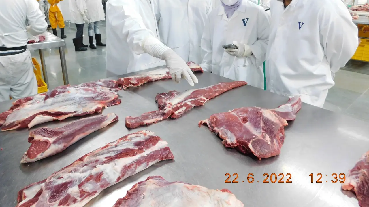 Perum Bulog memastikan, daging kerbau beku yang didatangkan dari India bebas dari Penyakit Mulut dan Kuku (PMK). Dok Bulog