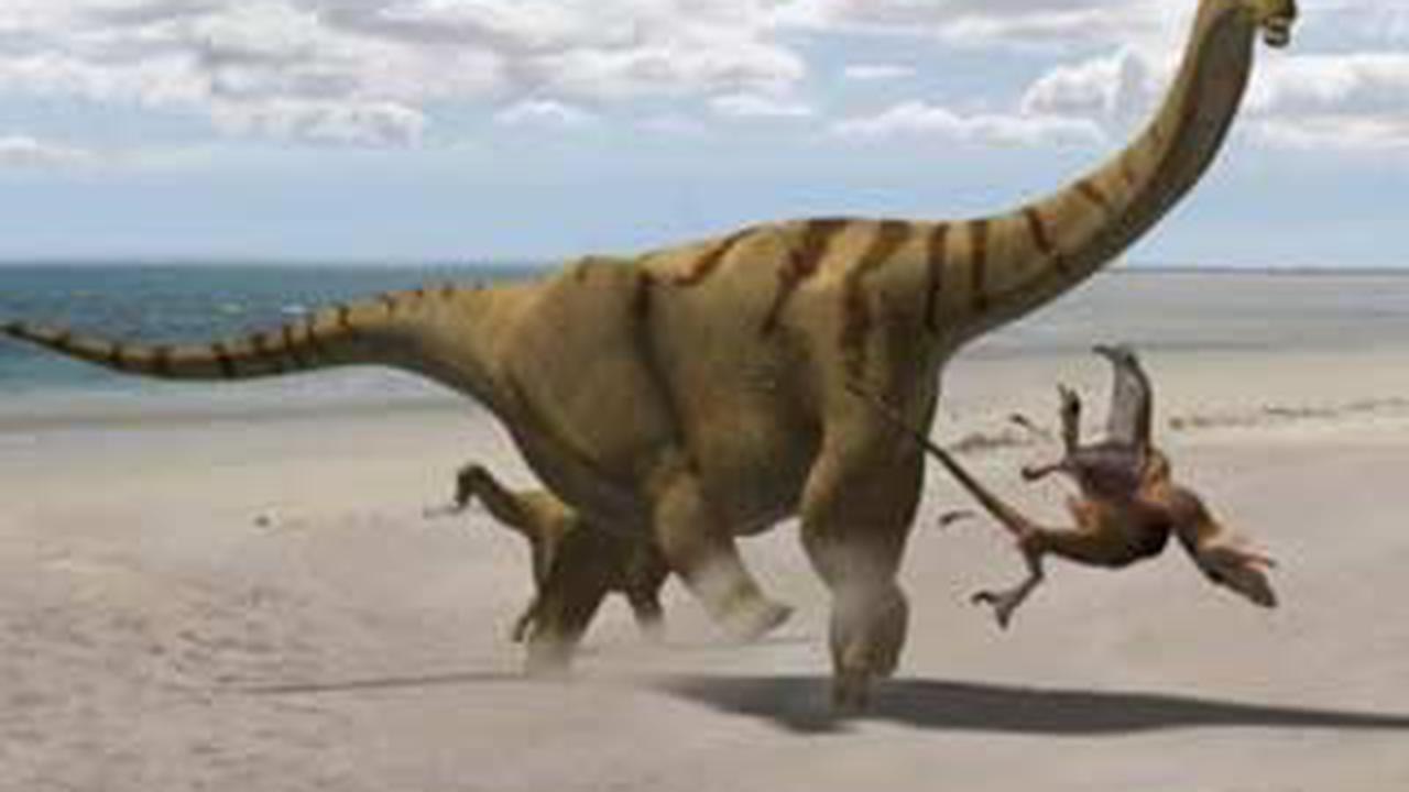 110225dbrontosaurus.jpg