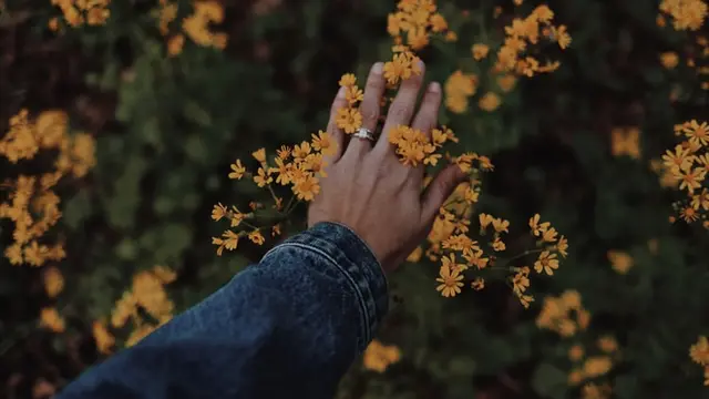 Ilustrasi jari tangan