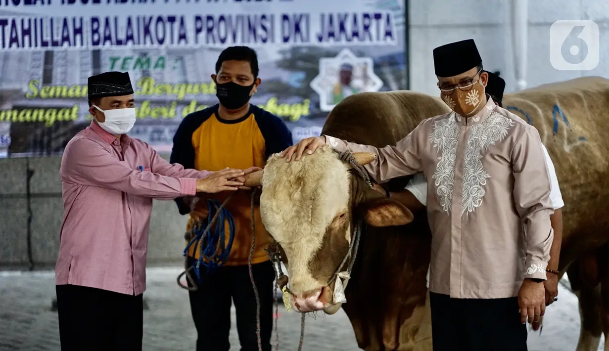 Gubernur DKI Jakarta Anies Baswedan (kanan) menyerahkan sapi kurban di Balai Kota, Jakarta, Jumat (31/7/2020). Pada Hari Raya Idul Adha tahun ini, Anies menyumbangkan sapi kurban jenis limosin seberat 1,3 ton. (Liputan6.com/Immanuel Antonius)