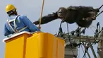 Simpanse jantan bernama Chacha berusaha menyerang petugas ketika hewan primata berusia 24 tahun itu memanjat sebuah tiang listrik, setelah kabur dari Kebun Binatang Yagiyama Zoological Park di Kota Sendai, Jepang, Kamis (14/4). (Reuters/ Kyodo)