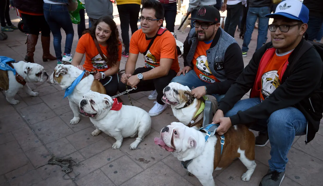 Sejumlah peserta bersama anjingnya saat saat ikut berkumpul untuk meraih Rekor Guinness di Mexico City di Meksiko (26/2). Dalam acara ini sebanyak 950 anjing Bulldog ikut berkumpul ditempat tersebut. (AFP/Alfredo Estrella)