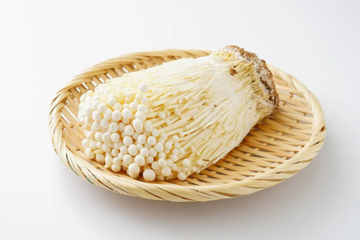Enoki