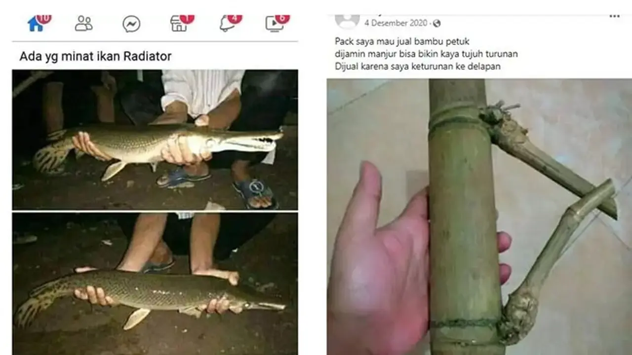 6 Status Facebook Bapak-Bapak Jualan Ini Absurd, Barang yang Ditawarkan Kocak